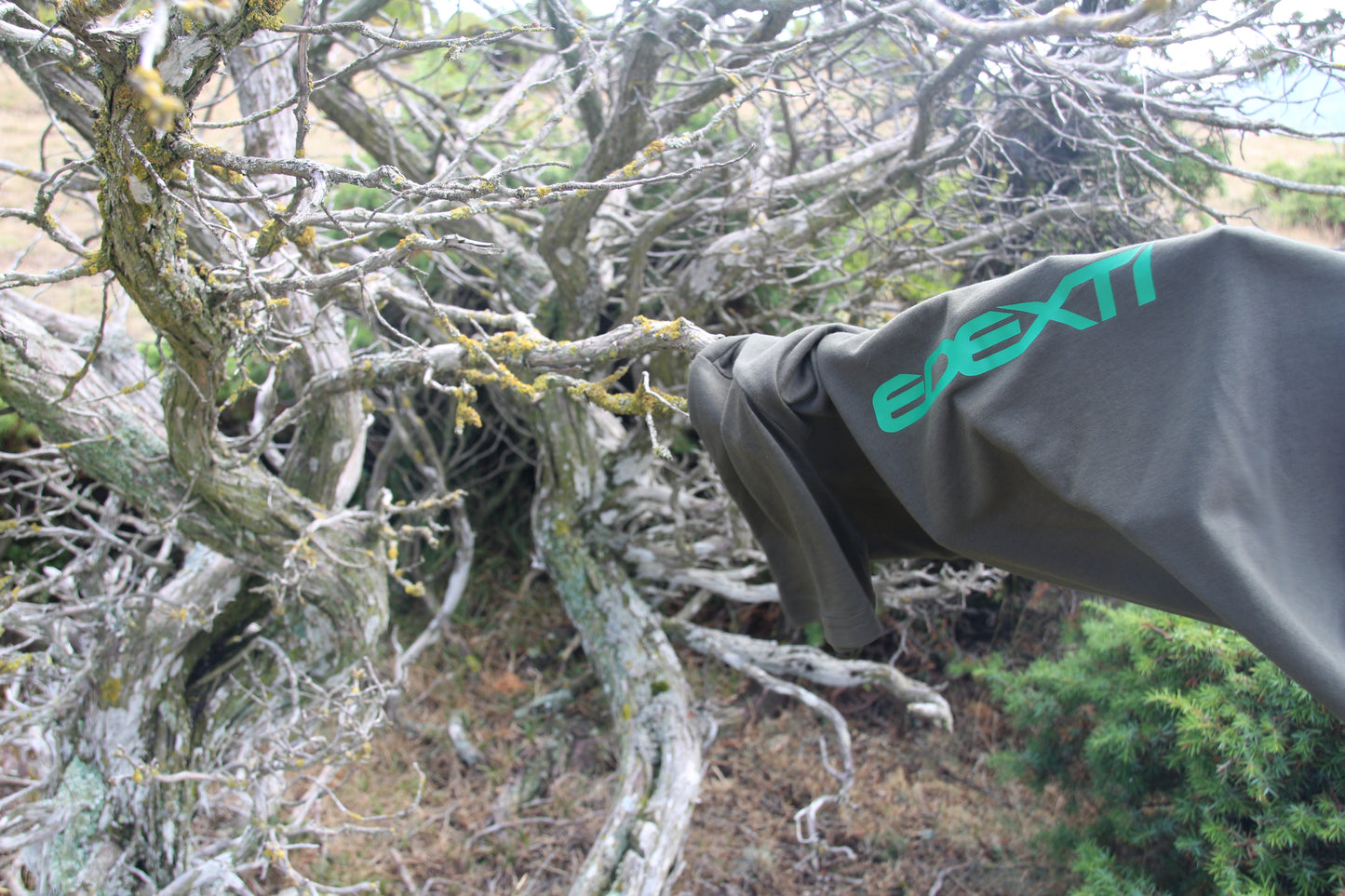 E-MTB Patagonia Norte